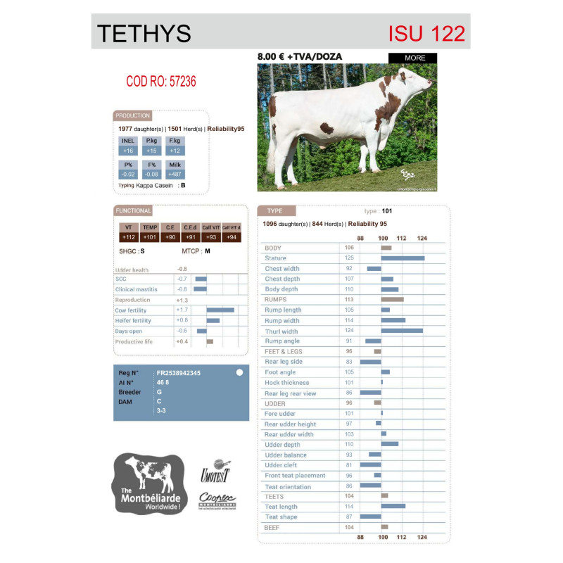 Tethys