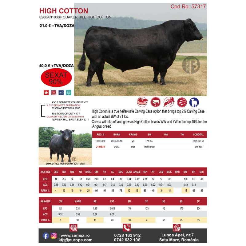 High-Cotton sexat femel