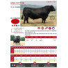 High-Cotton sexat femel