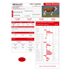 Megajoy