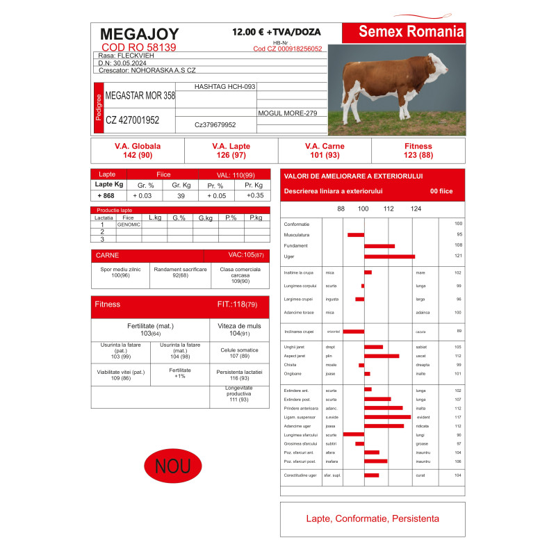 Megajoy